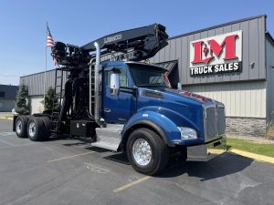 LEMCO XLT170 10008394618