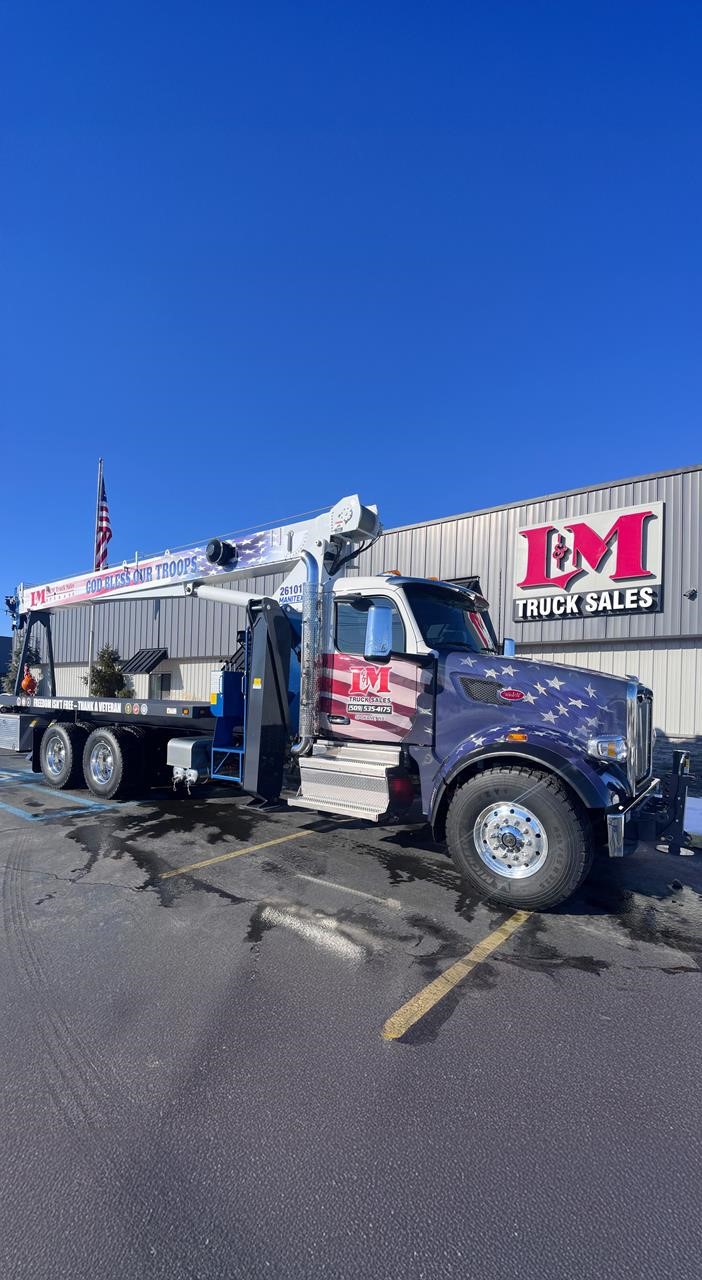 2025 MANITEX 26101C - image 1 of 6